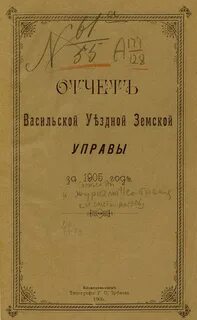 Васильского уезда