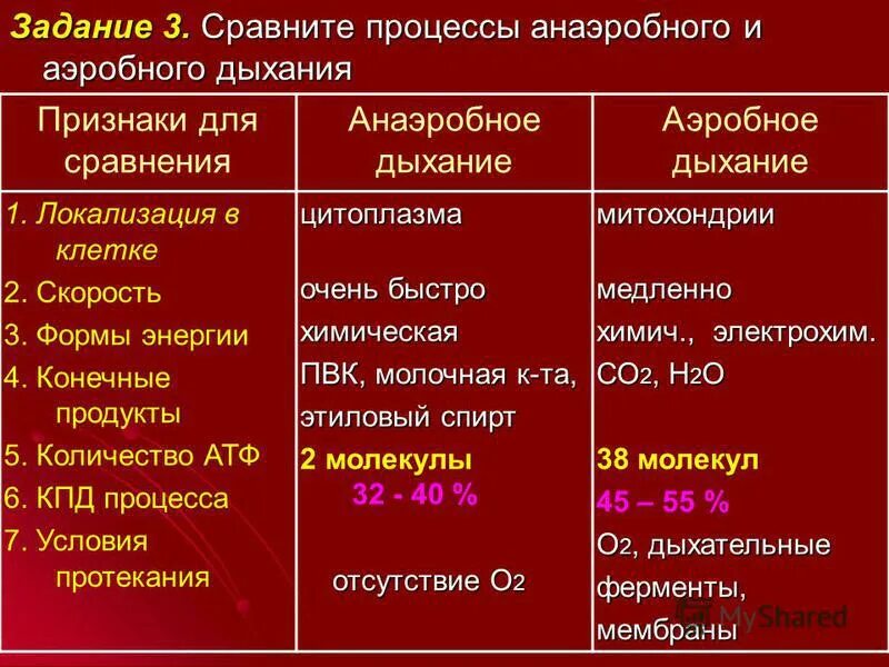 Этапы анаэробных организмов