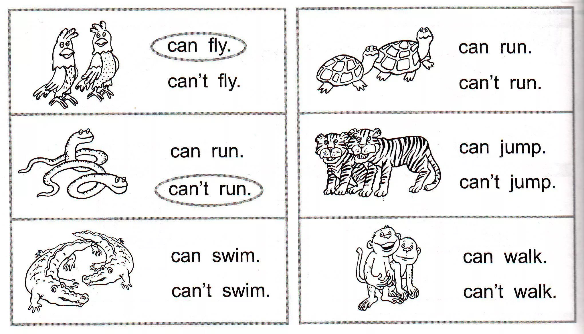 Упражнения на can 2 класс английский язык. Задания по английскому для детей. Задания на английском языке для детей. Задания по английскому языку для дошкольников. Составить предложения i can