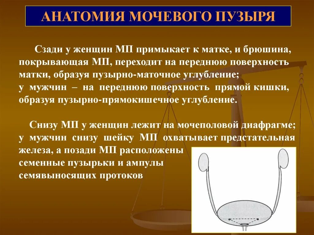 Болезнь мочевого пузыря у женщин лечение. Заболевания мочевого пузыря. Заболевания мочевого пузыря презентация. Жалобы при заболеваниях мочевого пузыря. Другие заболевания мочевого пузыря медицинский код.