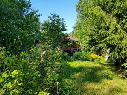 Петровское ленинградская область