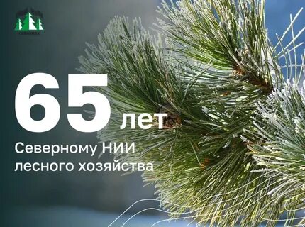 Севниилх