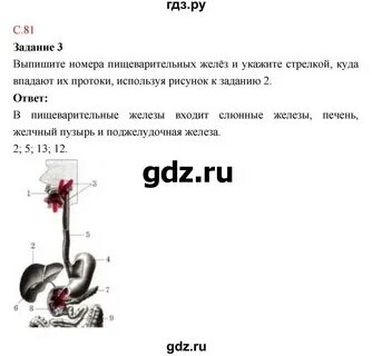 Биология 8 класс драгомилов маш практическая работа