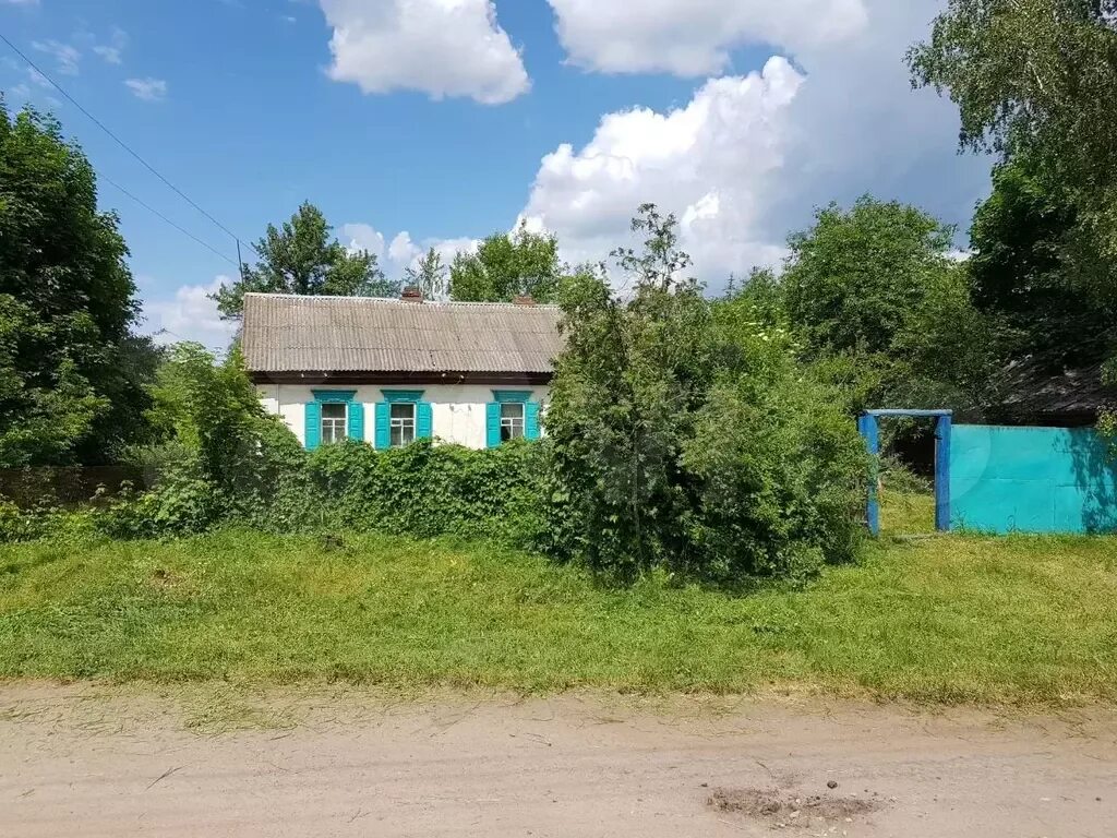 Старый кривец брянская область. Старый кривец брянская область. Старый кривец фото. Погода старый кривец брянской. Погода старый кривец брянской.
