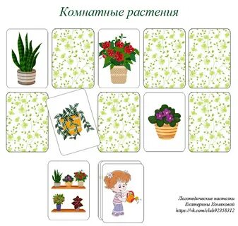 Игра комнатные растения