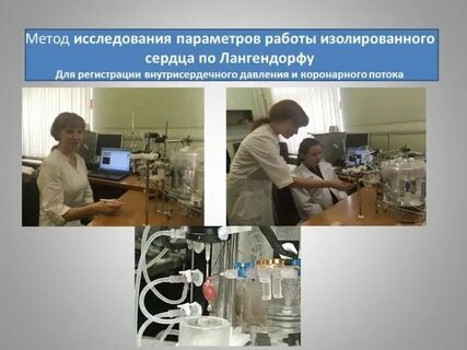 Биолог магистратура