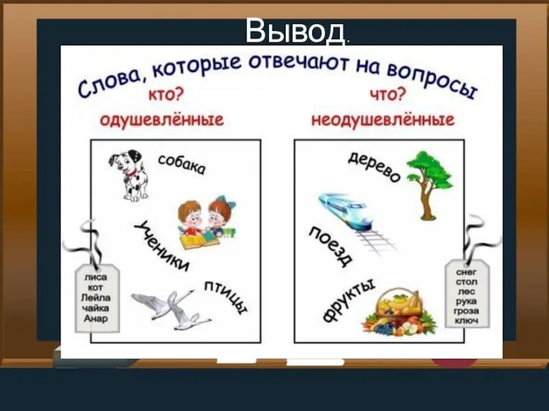 Конспект урока имя существительное употребление в речи. Слова отвечающие на вопрос кто. Слова которые отвечают на вопрос кто. Вопросы кто что. Предметы отвечающие на вопрос кто.