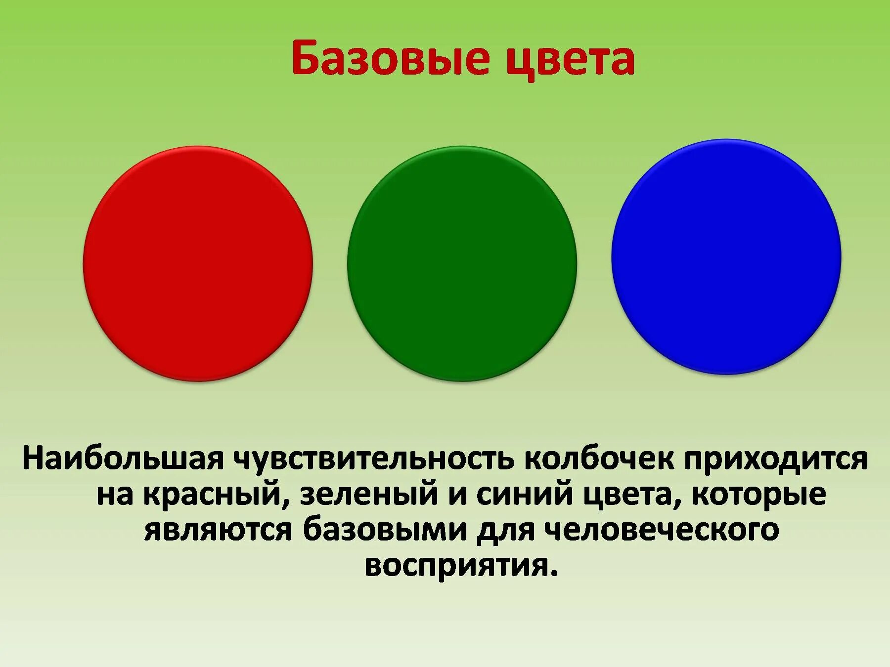 Красный сперва. Базовые цвета. Основные цвета для детей. Основные цвета красный синий зеленый. Osnovniye chveta.