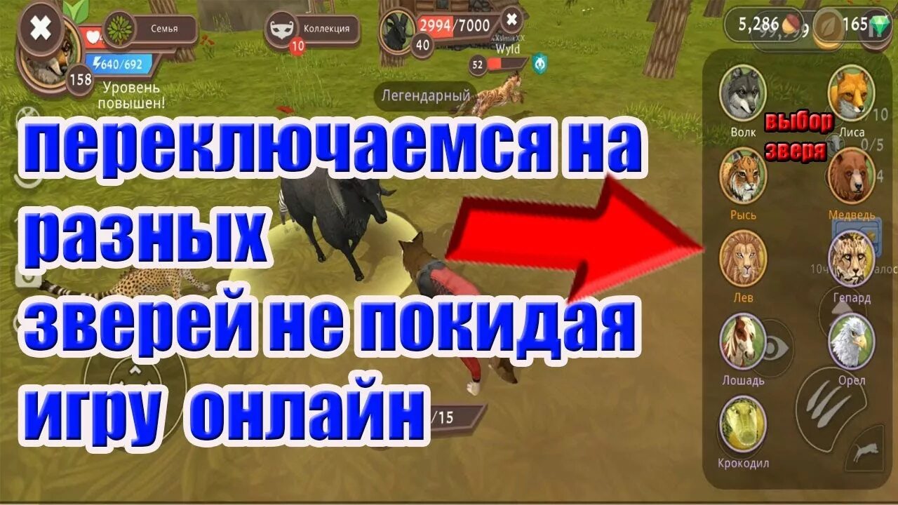 Баг в вилд. Баг на прокачку в вилд крафт. Баг на уровень в вилд крафт. Баг на питомца в вилд крафт. Баг на гиганта в Wild Craft.