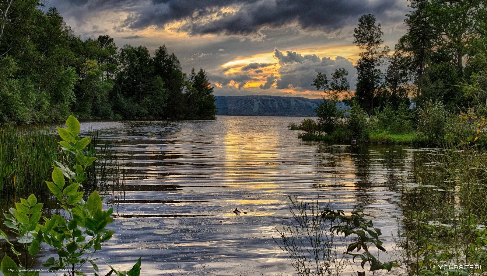 Природа реки озера пейзажи