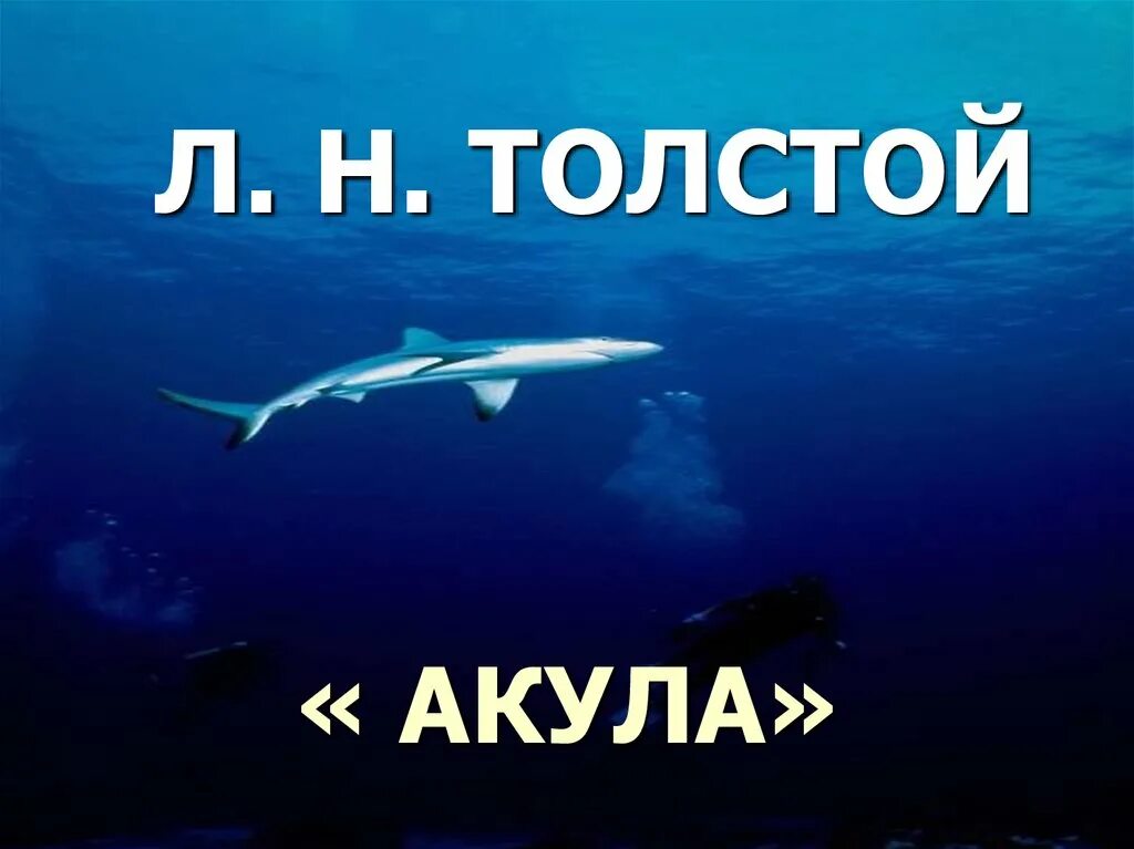 Акула толстой. Л Н толстой акула. Акула толстой презентация. Акула книга Толстого.