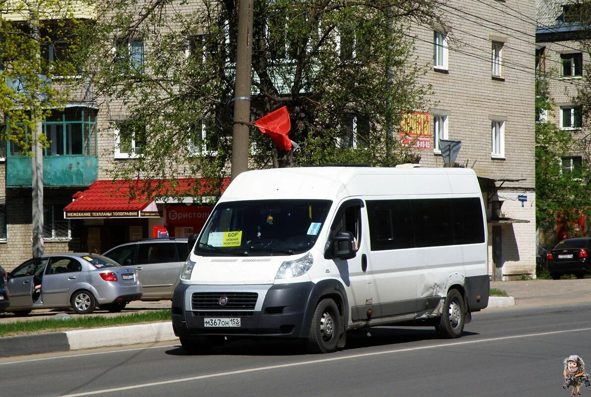 236 автобус бор. Fiat 241gs. Автобус Бор 235. Автобус 235 Бор Нижний. М367нс82.