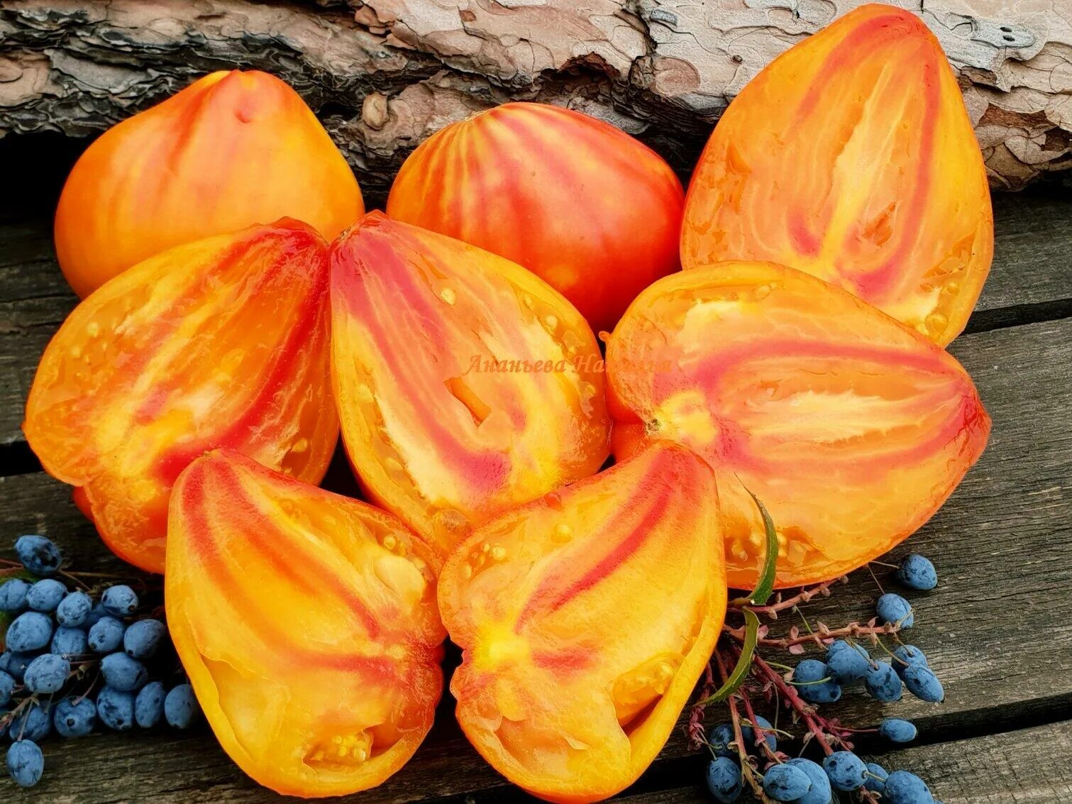 Томат ананасное сердце. Томат ананасное бычье сердце. Томат ананасовое бычье сердце. Томат ананасное бычье сердце. Томаты сорт ананасное сердце.