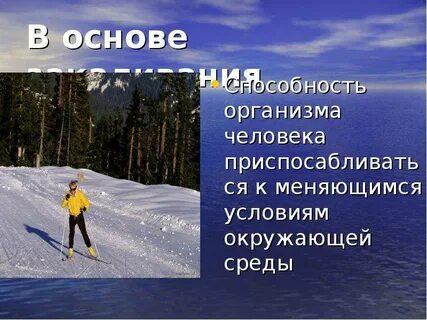 Способность человека приспосабливаться