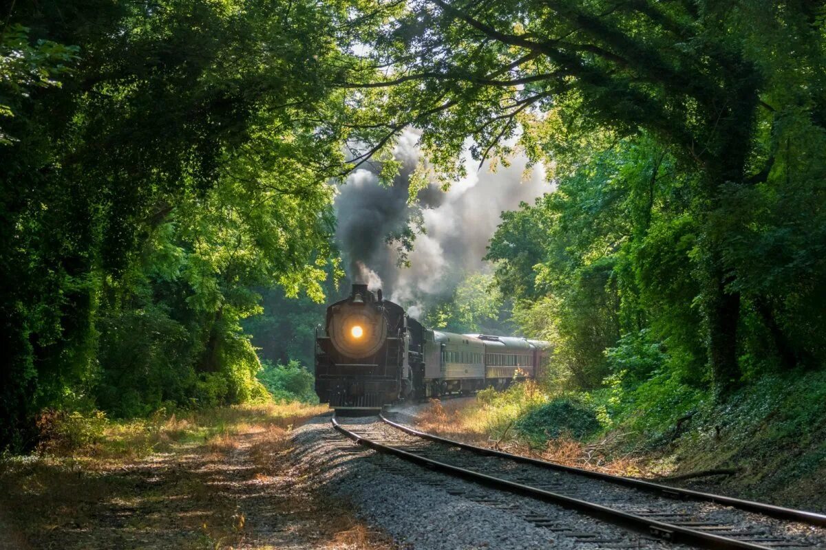 Железная дорога в лесу. Поезд в лесу. Пейзаж с паровозом. Пейзаж с железной дорогой.