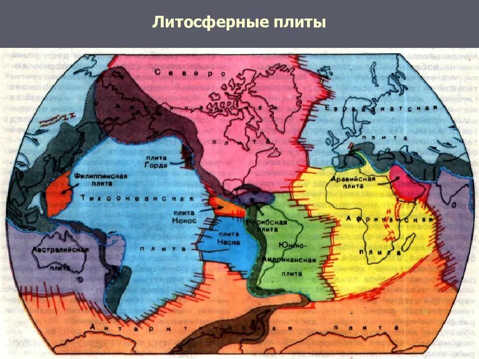 Какая крупная литосферная плита. Литосферные плиты Евразии. Тихоокеанская и Евроазиатская литосферные плиты. Карта литосферных плит. Полная карта литосферных плит.