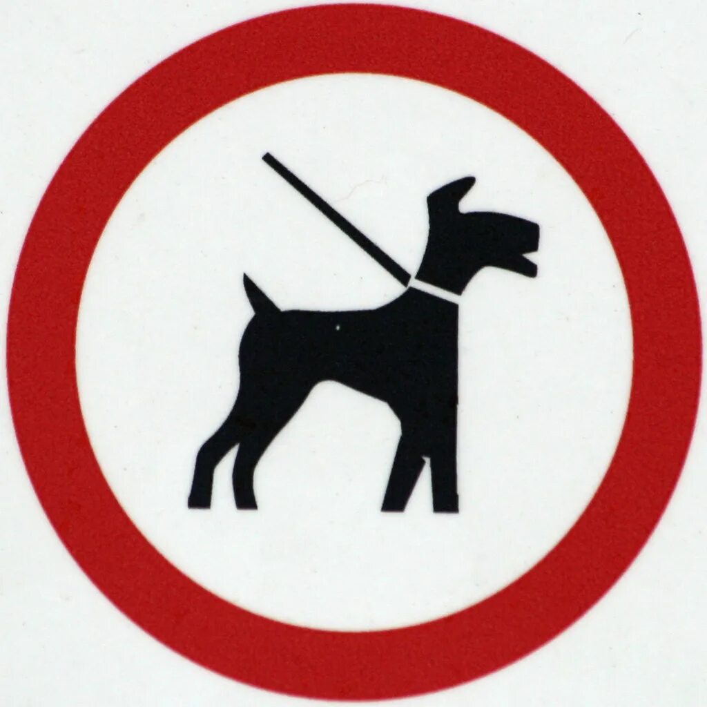 Dogs must keep on a lead. Dogs on leads. Keep your Dog on the lead. Dog on. Dogs leads signs.