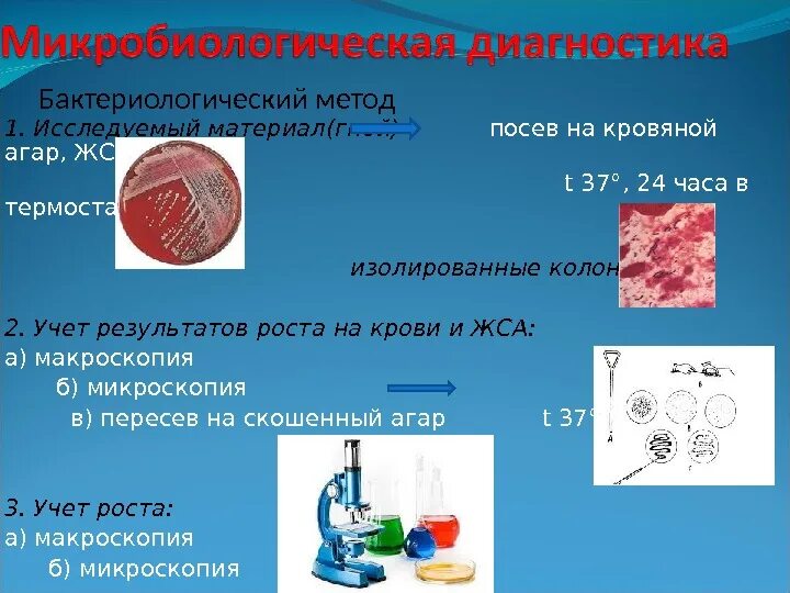 Методы лабораторной диагностики микробиология. Микробиологическая диагностика стрептококковых инфекций. методы диагностики стрептококковой инфекции. бактериологический метод диагностики стрептококковой инфекции. бактериологический метод исследования стрептококка.