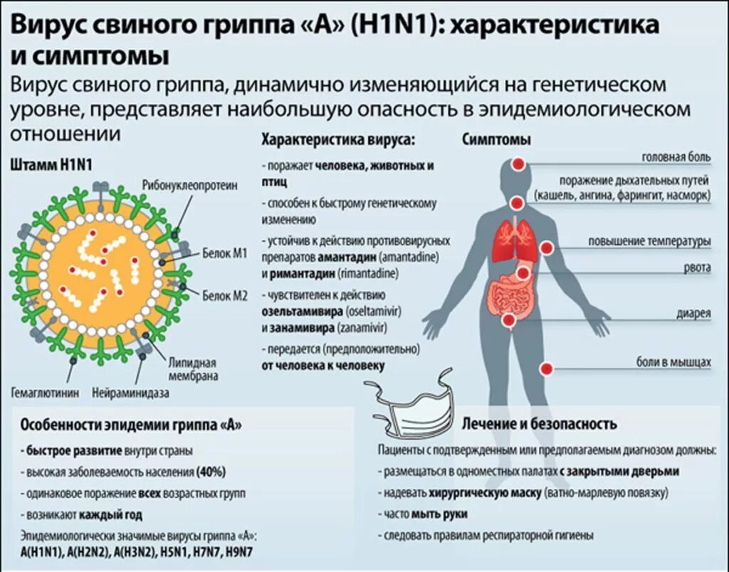 Вирус гриппа h1n1. Вирус свиного гриппа (h1n1). Особенности мвиного группа. Вирус гриппа симптомы. День заражения коронавируса