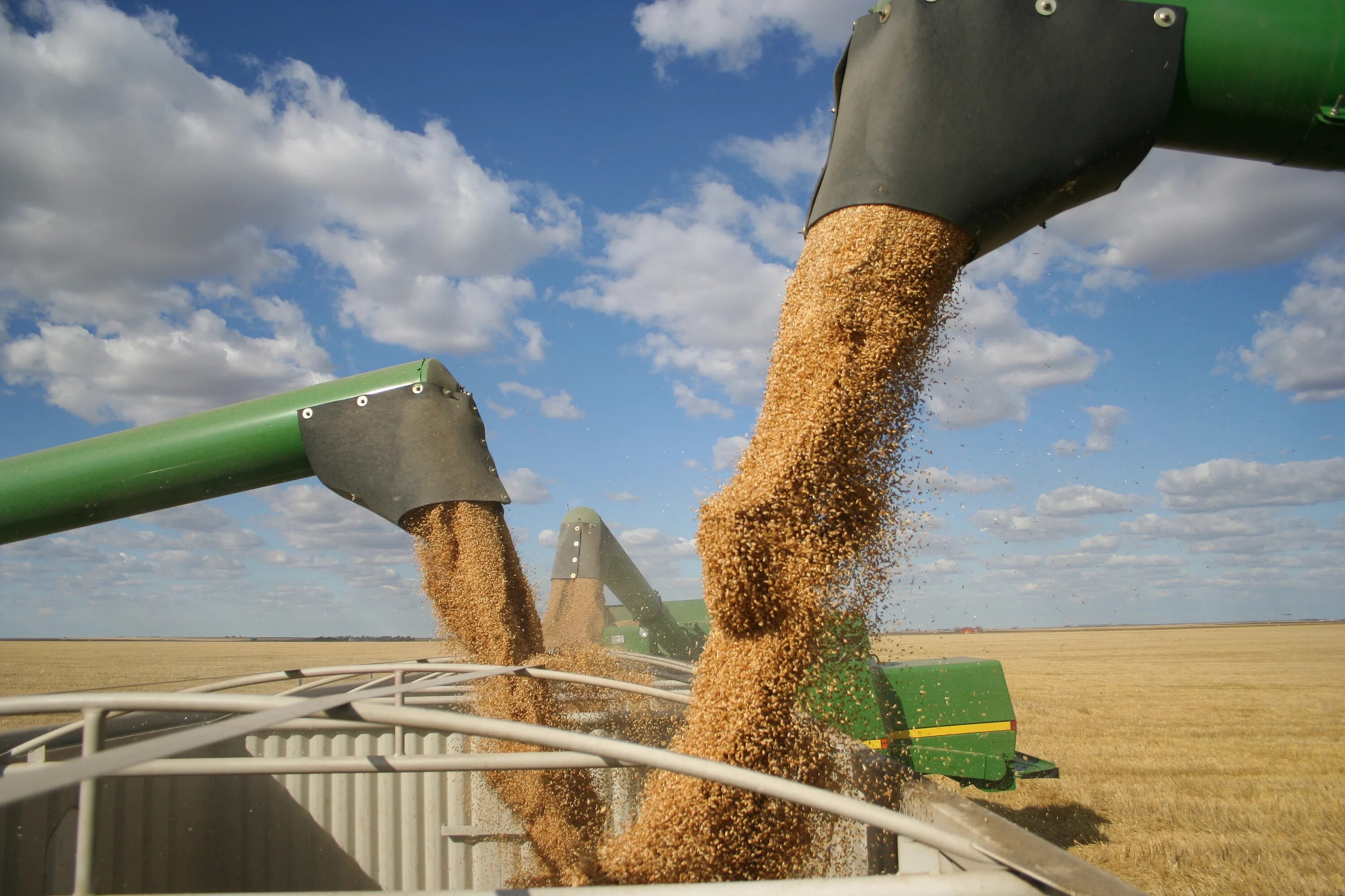 Производство злаковых. Экспорт зерна. Экспорт пшеницы. Сбор пшеницы. Производство зерна.