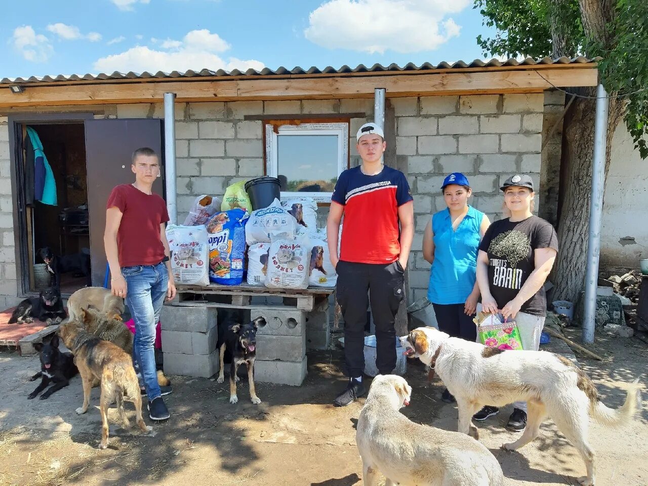 Дино колледж. Приют дино. дино приют для животных краснослободск. приют дино волгоград. волонтеры приюта «дино».