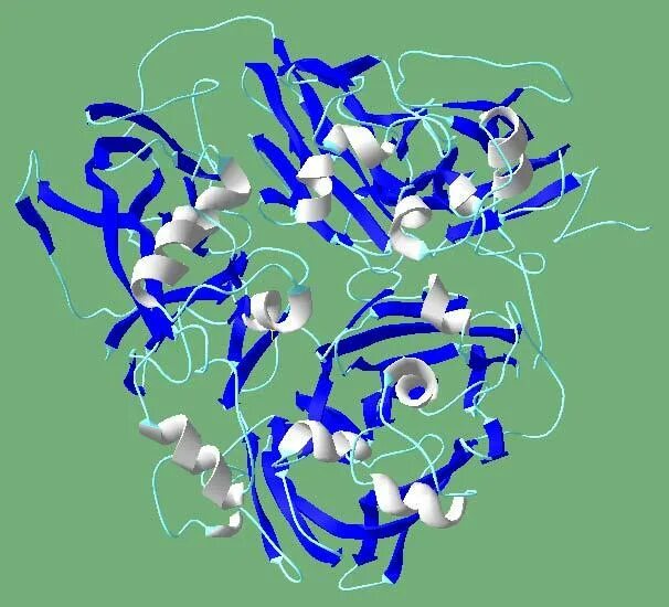 Церулоплазмин что это такое. Церулоплазмин структурная формула. Церулоплазмин Биосинтез. Церулоплазмин биохимия. Церулоплазмин молекула.