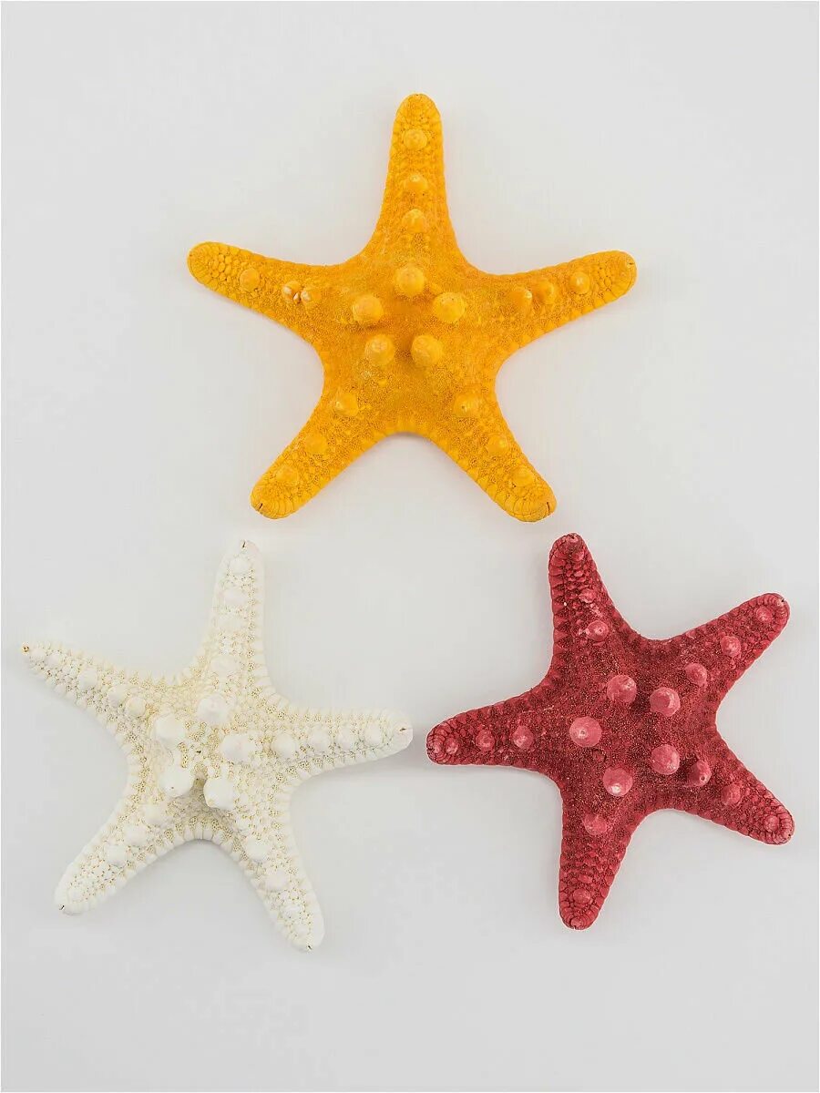Сушеная морская звезда. Морская звезда сухая. Морская звезда сувенир. Декоративные морские звезды.
