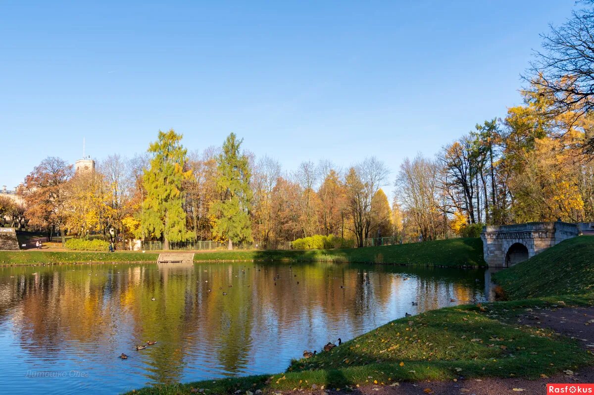 Абонемент в гатчинский парк. Гатчина парк. Гатчина Санкт-Петербург Дворцовый парк. Пейзажный парк Гатчина. Дворцовый парк Гатчина достопримечательности Гатчины.