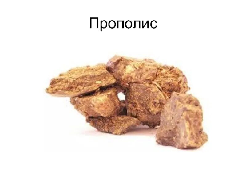 Барницва это