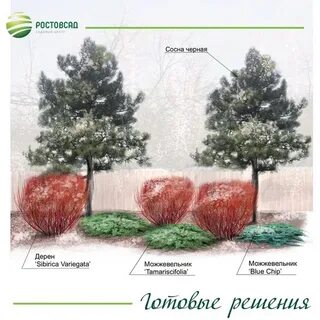 Ростовсад южная ул 36 поселок дорожный