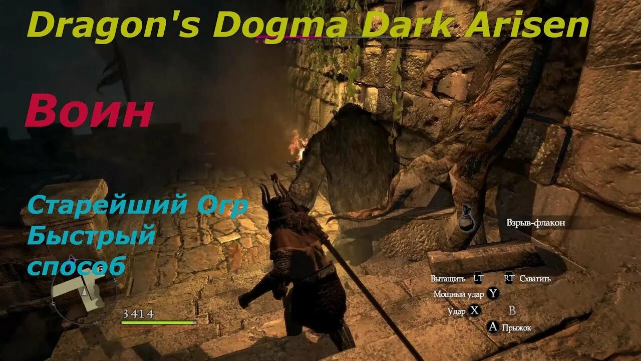 Dragons dogma огр. Dragon's Dogma Dark Arisen долговая расписка. Протодракон Dragon's Dogma. Лавровый лист в Dragon's Dogma Dark Arisen. Драгон Догма остров 1 босс.