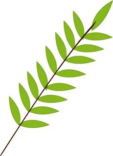 Small leaf