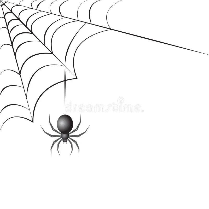 Паутинная сеть. Паук висит на паутине. Паук спускается вниз по паутине. Паучок спускается на паутинке. Паук спускается вниз по паутине.