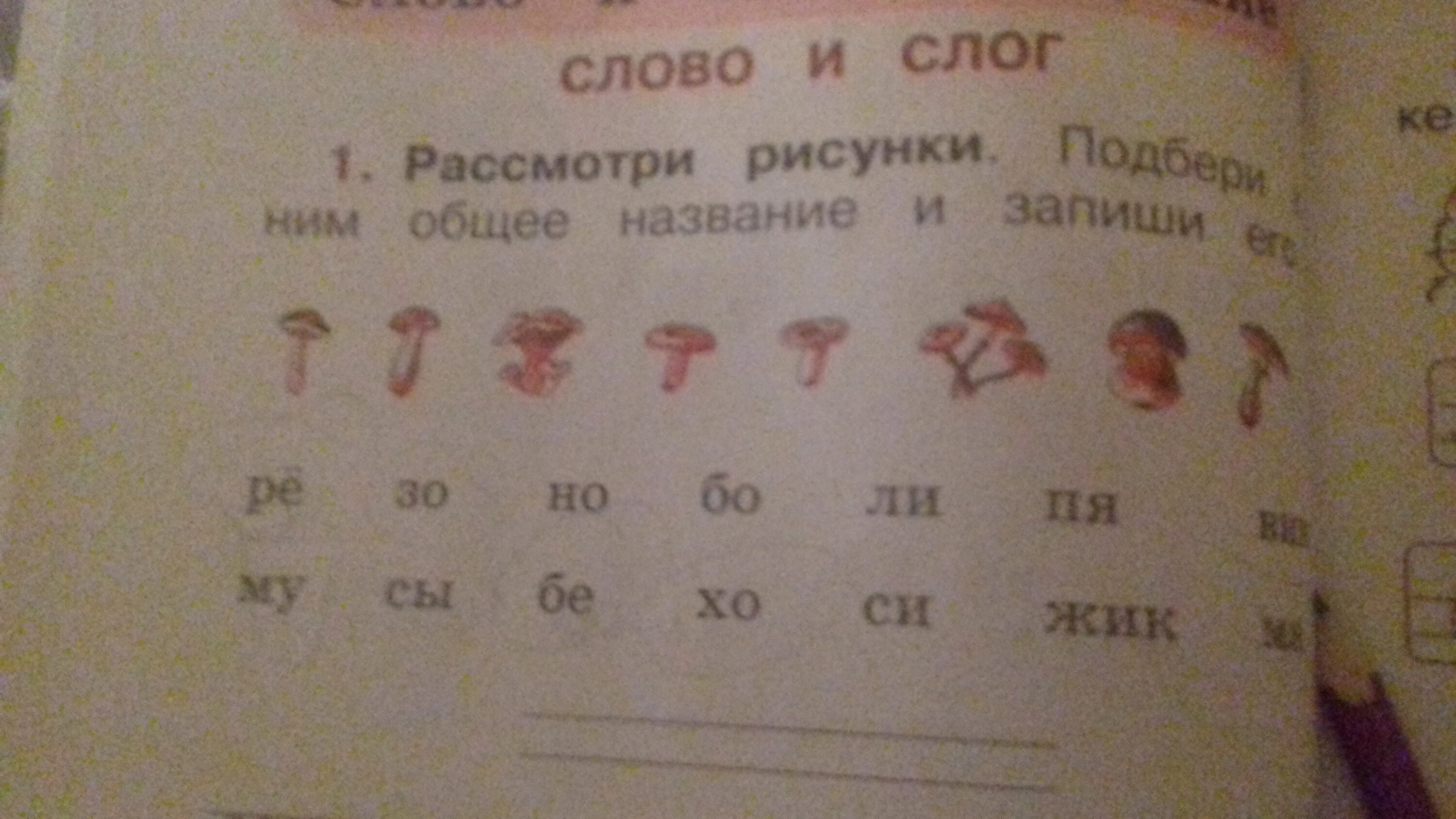 Подберите общее название. Рассмотри рисунки подбери к ним название. рассмотри рисунки подбери к ним название и запиши его. подбери общее название и запиши его грибы. 1 рассмотри рисунки подбери к ним общее название и запиши его.