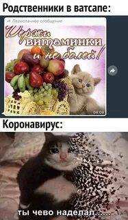 Ватсап родственники