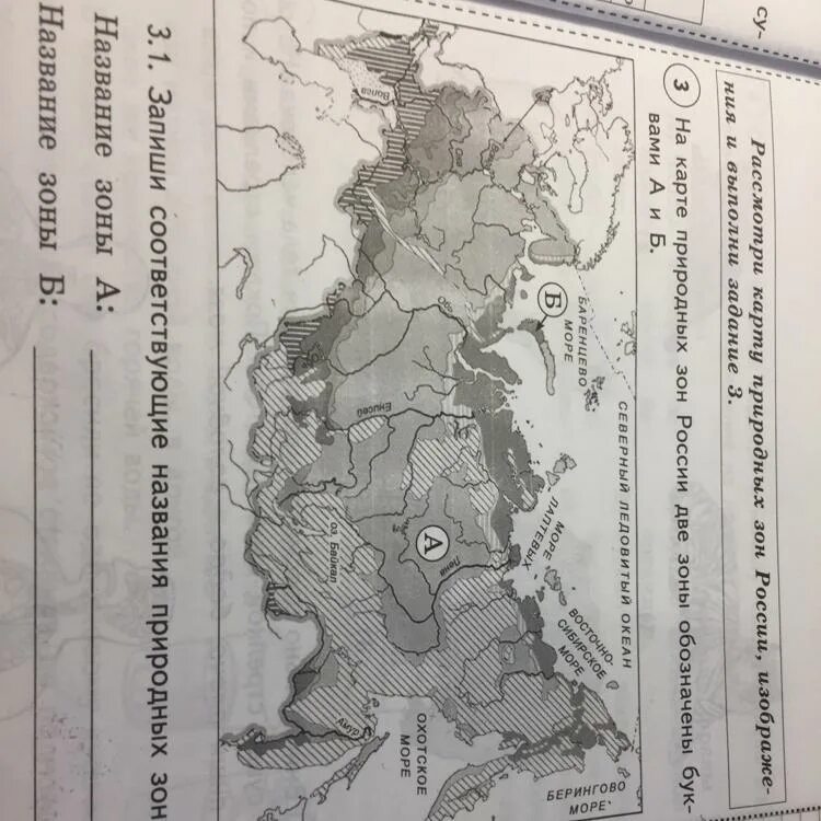 Природные зоны россии впр ответы