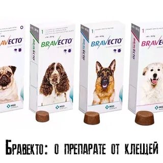 Китайский бравекто для собак отзывы