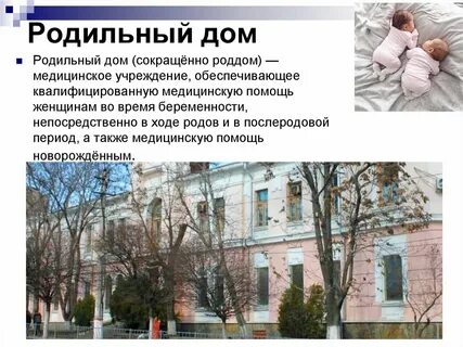 Домашнее род