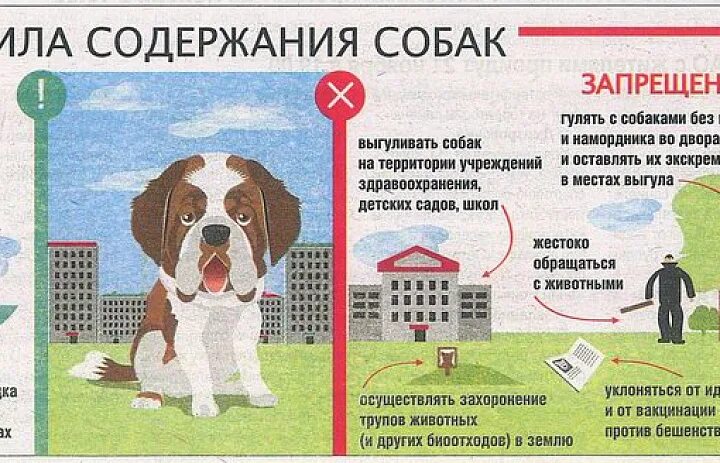 Домашние питомцы. Дом для собаки. Много животных в квартире. Правило содержания домашних животных. Бигль щенок.