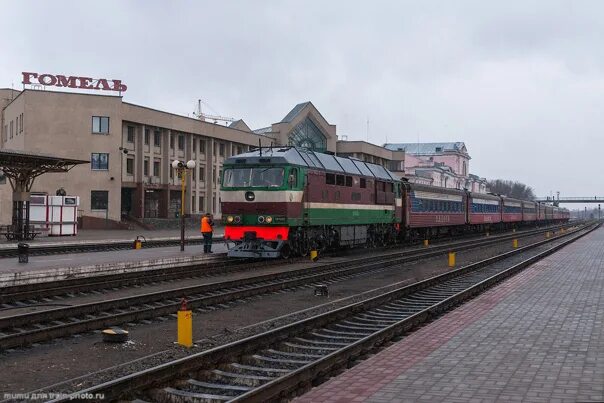 Спб беларусь поезд. Эр 774 38 паровоз. Тэп70 0313. Фирменный поезд Ладога. Поезд Ладога Санкт-Петербург Киев.