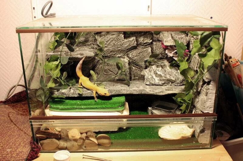 Террариум repti zoo 45x45x30. Террариум для австралийской квакши. Террариум repti zoo 60х40х40. Содержание террариума. Террариум repti zoo 90x45x45.