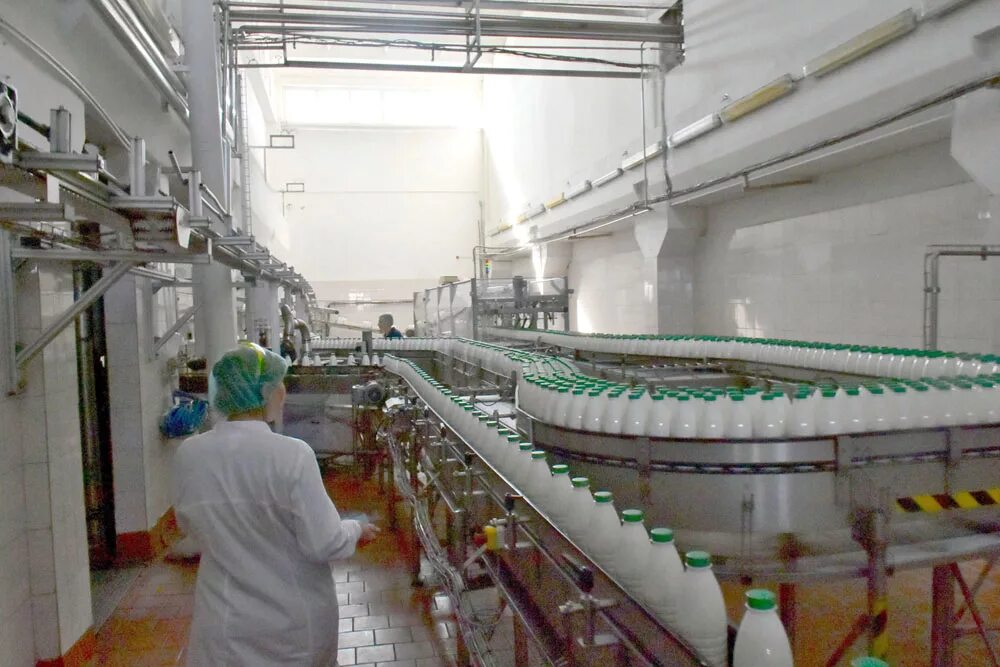 Ао данон россия филиал молочный комбинат шадринский. Шадринский молочный комбинат. Молочный комбинат шадринский. Шадринский молочно-консервный комбинат. Ао данон россия филиал молочный комбинат шадринский.