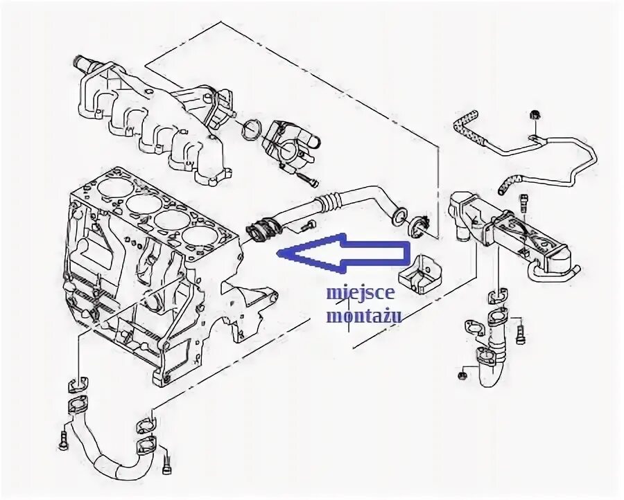 Егр шкода октавия LkbAuto.ru