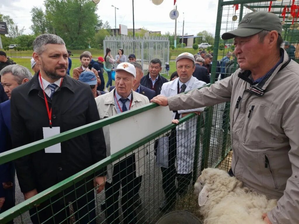 схпк имени кирова. спк им. спк кирова фото. спк им. спк колхоз им кирова октябрьского района оренбургской области.