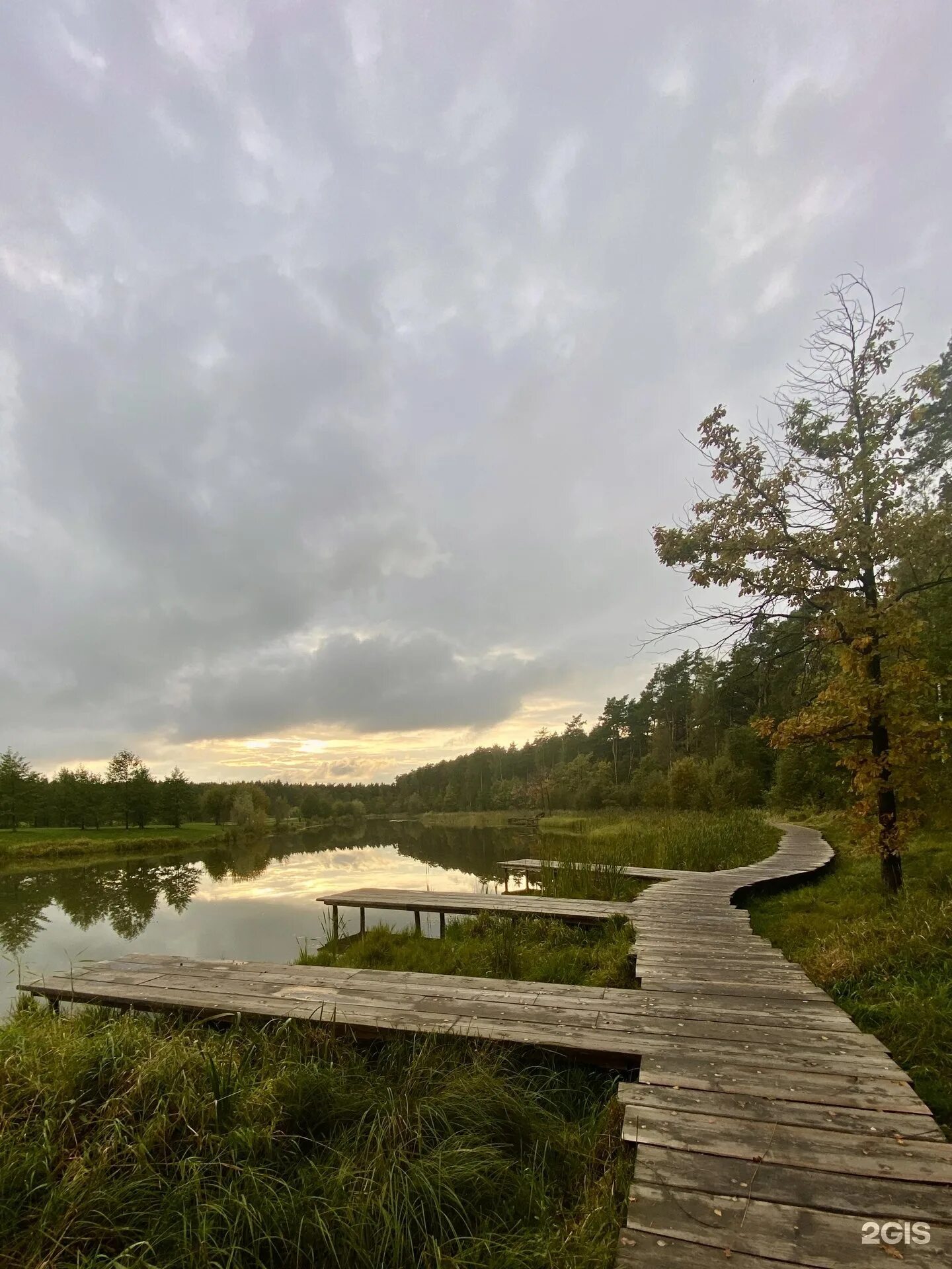 Мещерский парк переделкино. Мещерский парк лыжные трассы. Мещерский парк план схема. Погода мещерский парк. Мещерский парк одинцово.