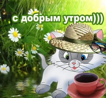 Здравствуй утро веселое