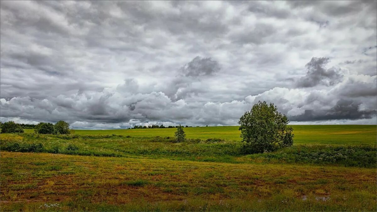 пасмурный летний день. пасмурное поле. деревня лето гроза. поле пасмурно. деревня пасмурно.