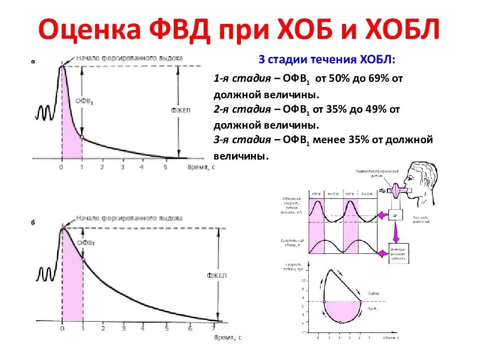 Фвд что это за обследование. Ба оценка функции внешнего дыхания. Исследование функции внешнего дыхания результат. Функция внешнего дыхания Результаты интерпретация. Анализ данных функции внешнего дыхания алгоритм.