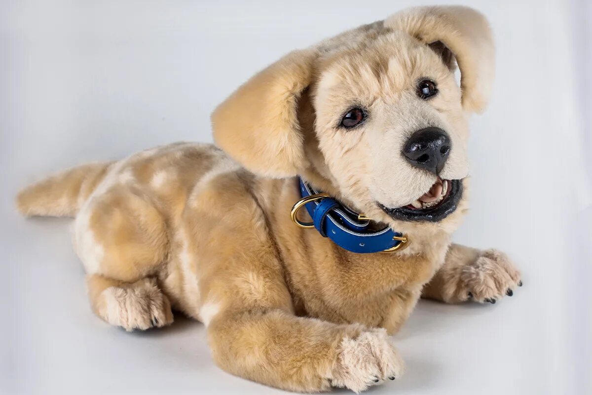 Робот шерсть. Голова furhat-ses в россии купить. Робот паппи. Робот шерсть. Робот собака сони айбо.