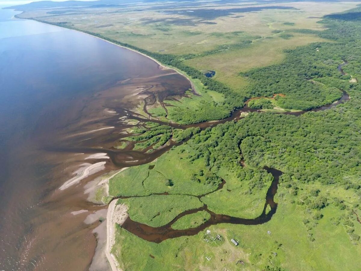 Амур в какое море. Устье реки Амур эстуарий. Река Амур Устье Амурский Лиман. Дельта реки Лиман эстуарий. Дельта реки Амур.